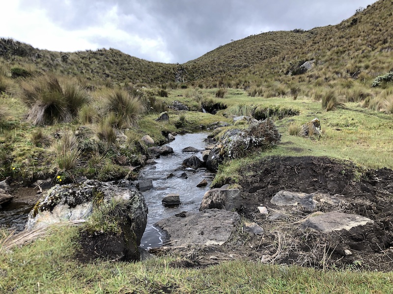 Hiking in Cajas National Park