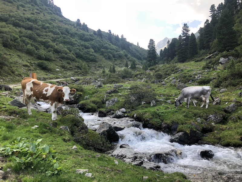 Hiking in Grinzens