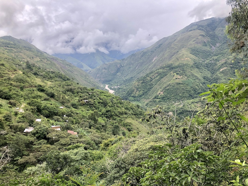 Hiking in the jungle