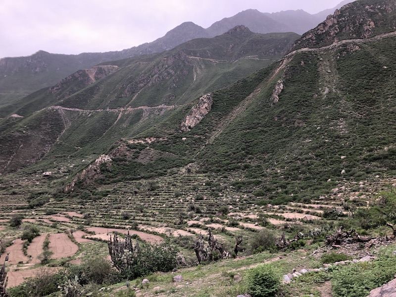 Hiking in the Colca Canyon