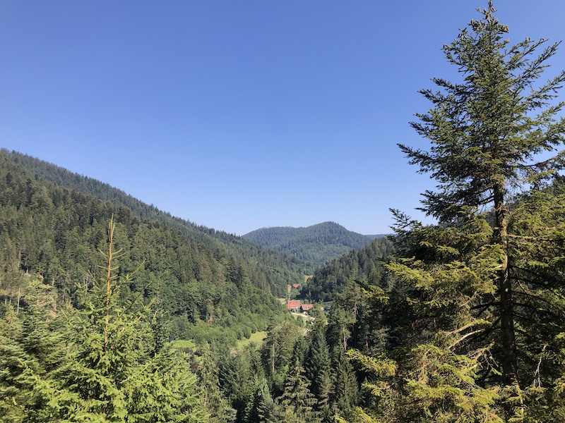 Hiking in the Black Forest