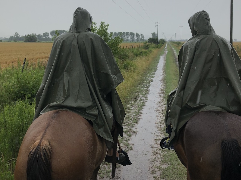 Horseback riding in Carlos Keen