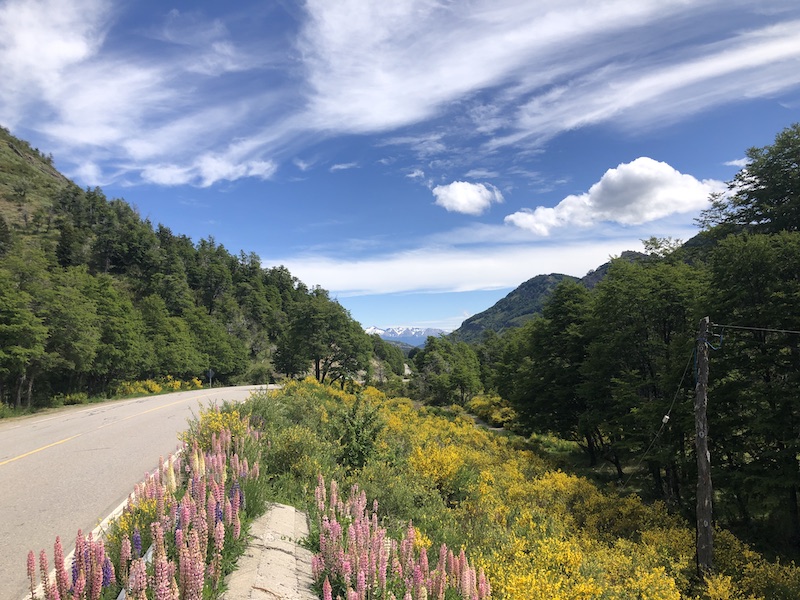 Ruta de Los 7 Lagos to San Martin de Los Andes