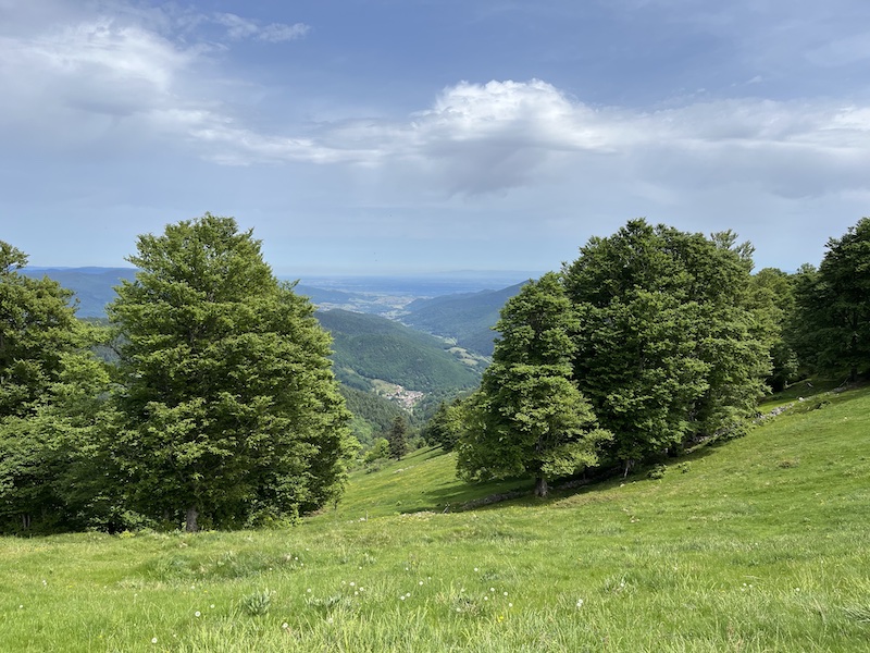 Hiking in Wasserbourg