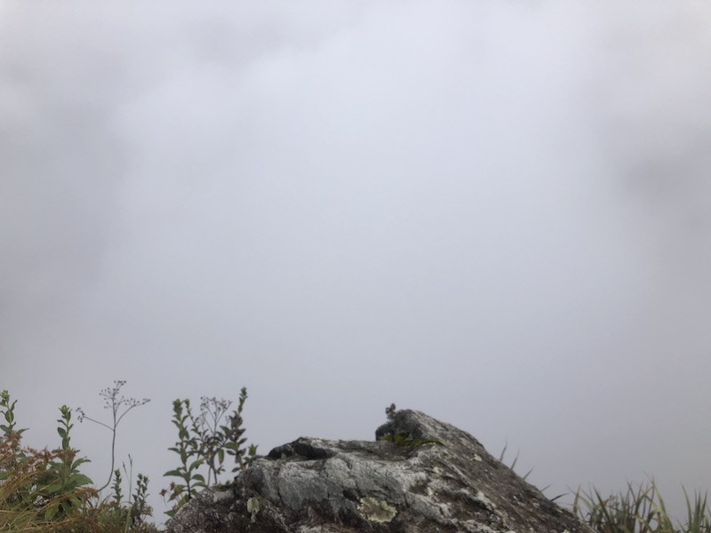 Foggy morning at Machu Picchu