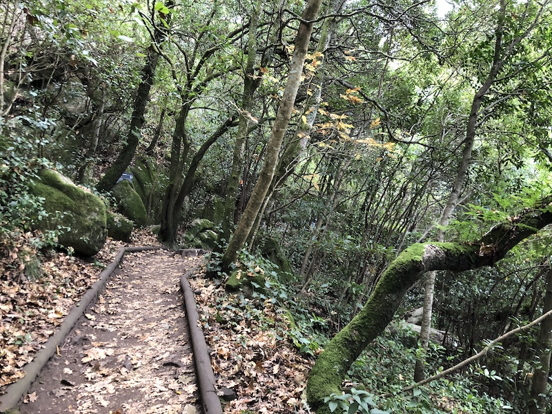 Hiking Castelo dos Mouros