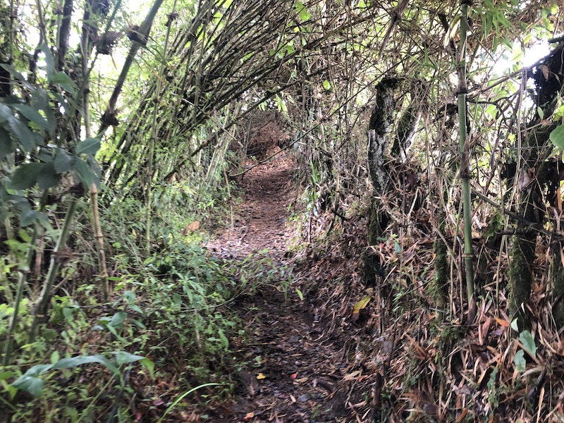 Hiking to the Swing at the End of the World