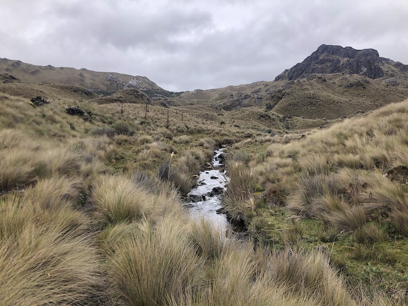 Hiking in Cajas National Park