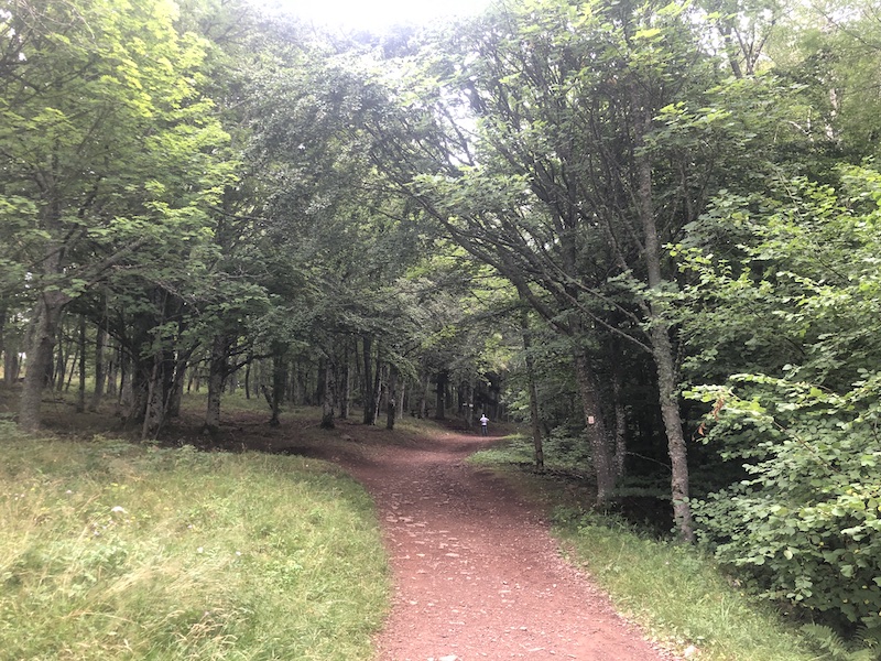 Hiking in the Vosges