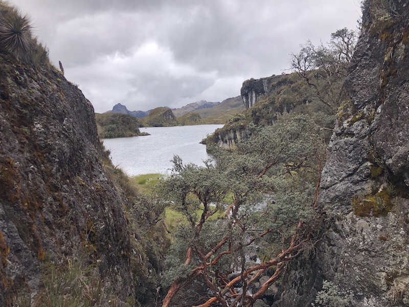 Hiking in Cajas National Park