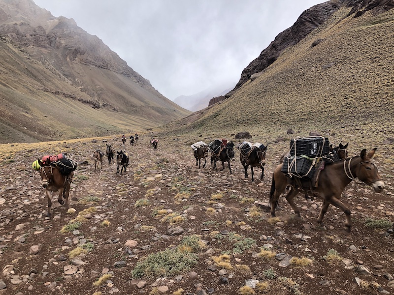 Hiking in Aconcagua