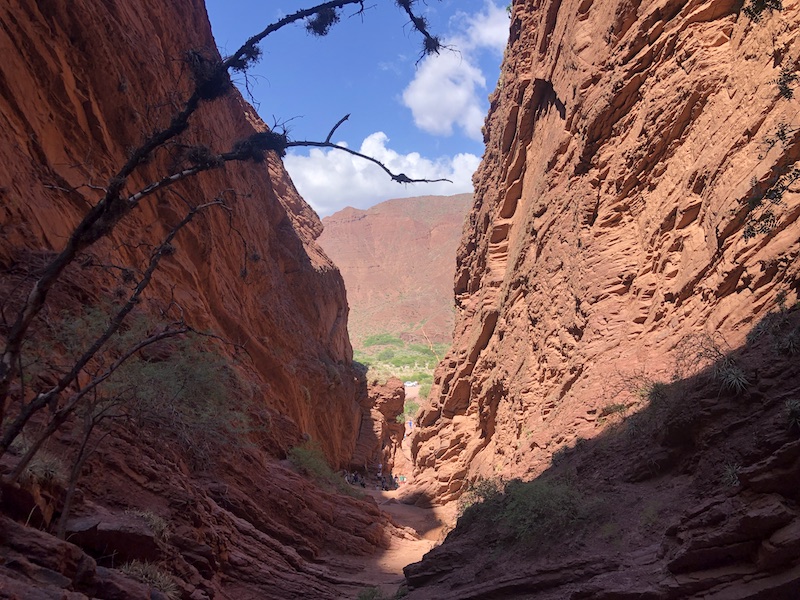 Cafayate tour