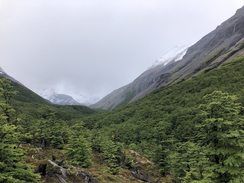 Hiking the Mirador las Torres