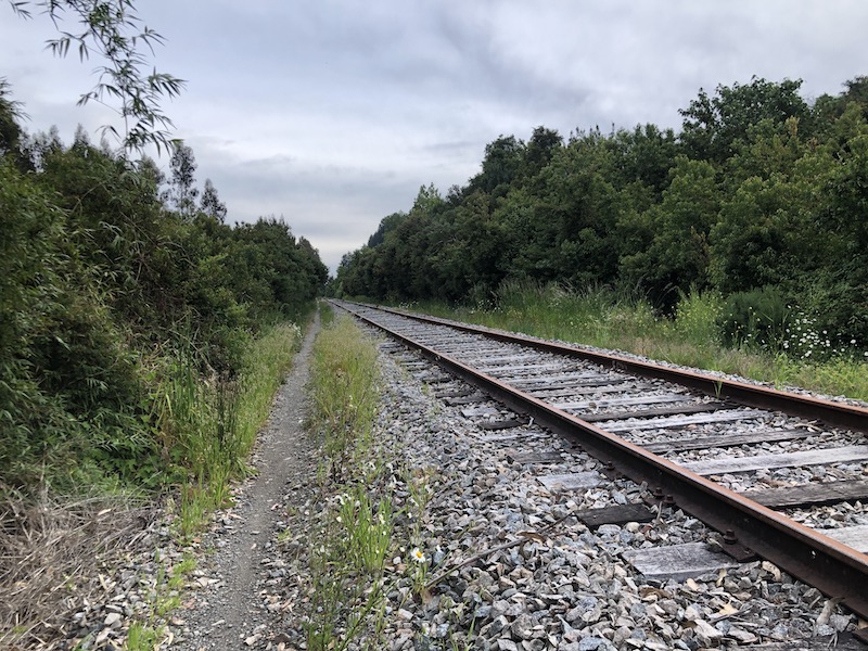 Biking along the train line