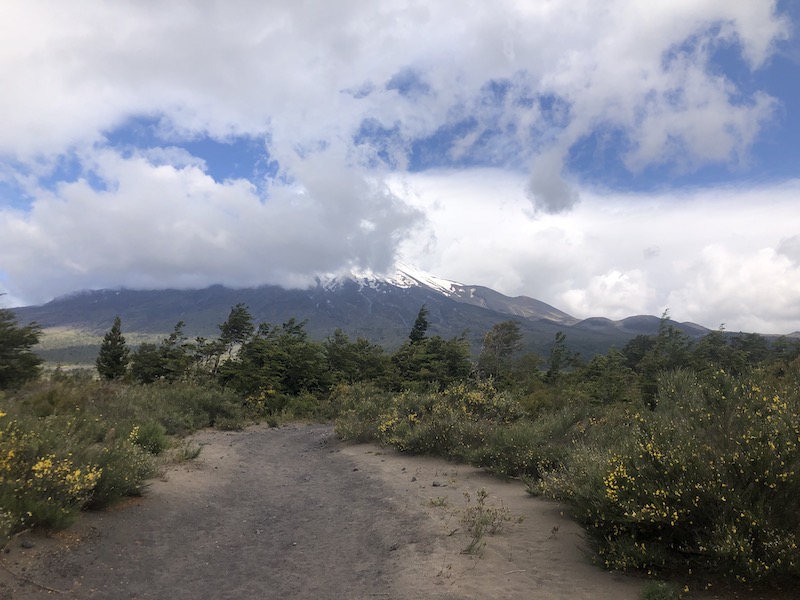 Hiking in Petrohue