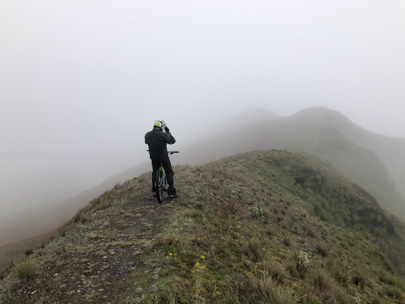 Foggy Loma Loma