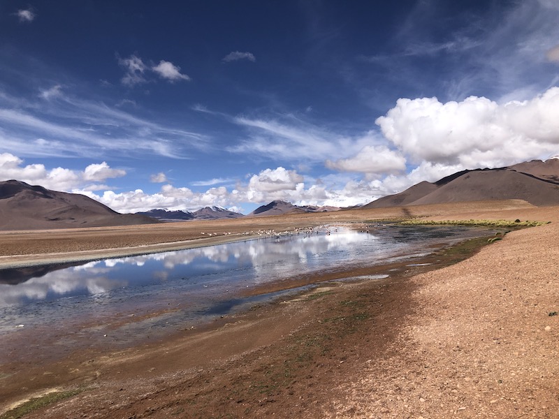 Laguna Hedionda